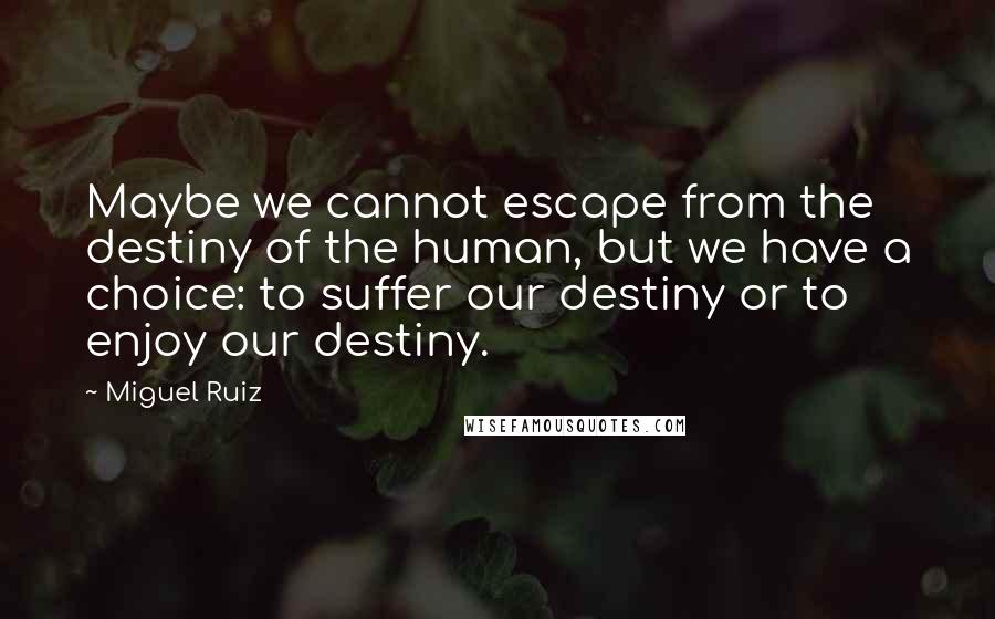 Miguel Ruiz Quotes: Maybe we cannot escape from the destiny of the human, but we have a choice: to suffer our destiny or to enjoy our destiny.