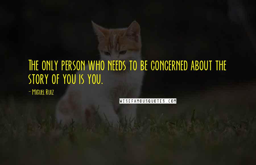 Miguel Ruiz Quotes: The only person who needs to be concerned about the story of you is you.