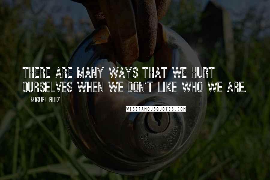 Miguel Ruiz Quotes: There are many ways that we hurt ourselves when we don't like who we are.