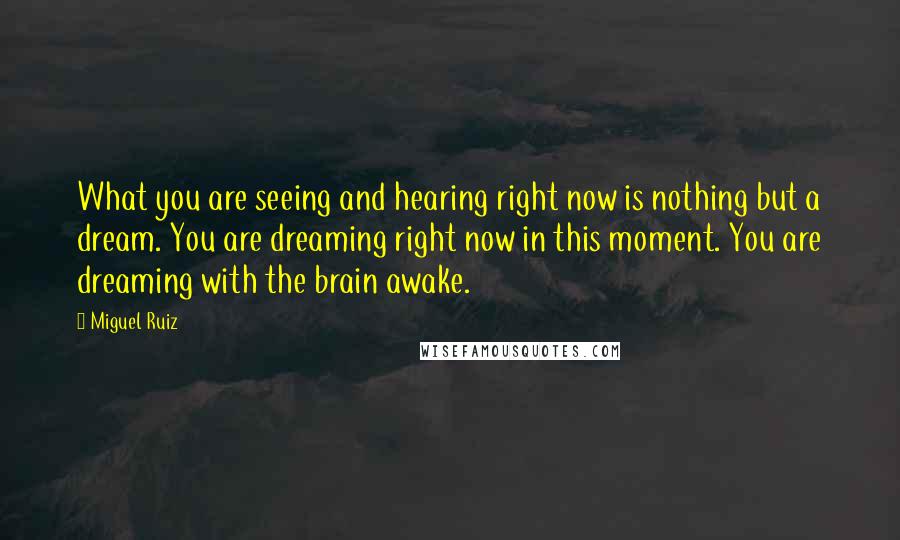 Miguel Ruiz Quotes: What you are seeing and hearing right now is nothing but a dream. You are dreaming right now in this moment. You are dreaming with the brain awake.
