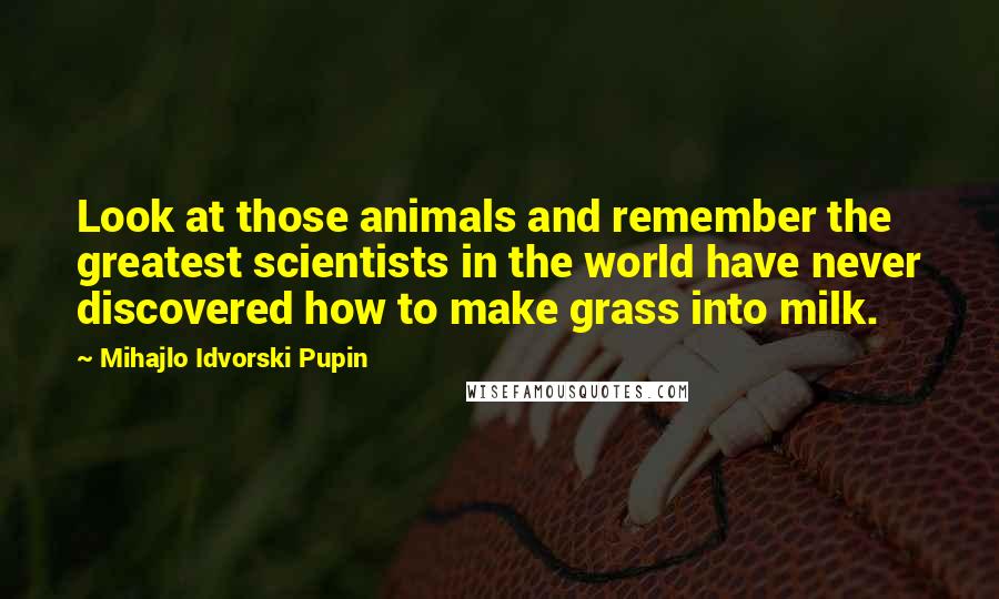 Mihajlo Idvorski Pupin Quotes: Look at those animals and remember the greatest scientists in the world have never discovered how to make grass into milk.