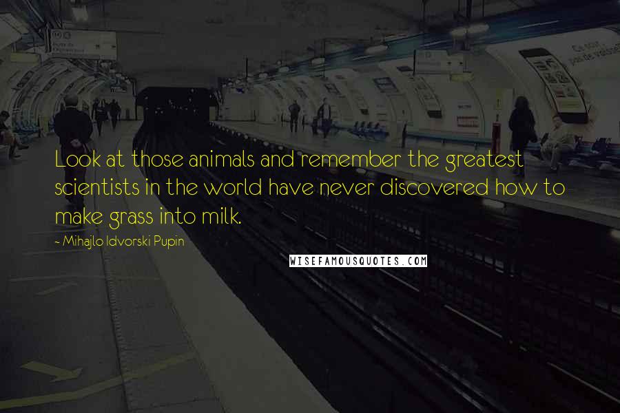 Mihajlo Idvorski Pupin Quotes: Look at those animals and remember the greatest scientists in the world have never discovered how to make grass into milk.