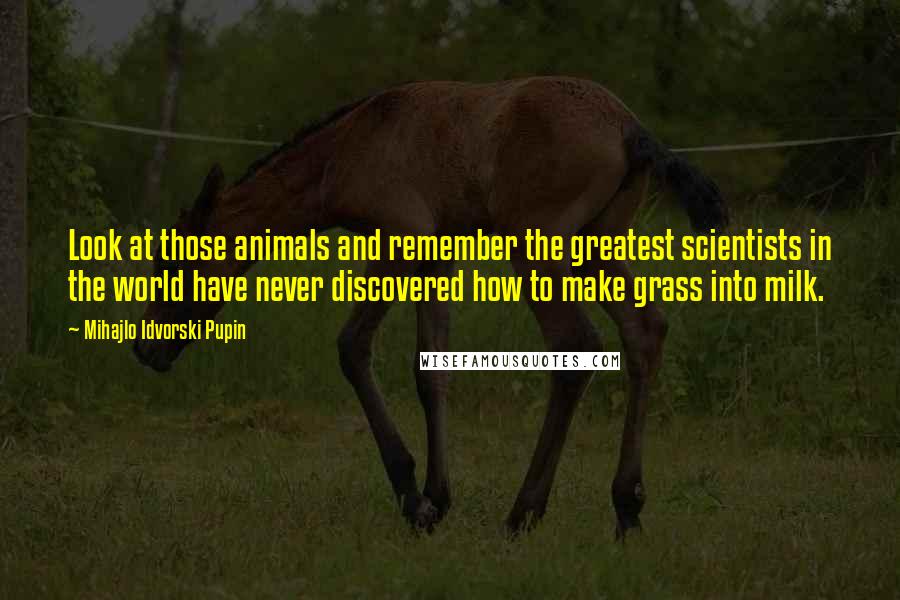 Mihajlo Idvorski Pupin Quotes: Look at those animals and remember the greatest scientists in the world have never discovered how to make grass into milk.