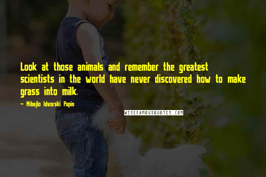 Mihajlo Idvorski Pupin Quotes: Look at those animals and remember the greatest scientists in the world have never discovered how to make grass into milk.