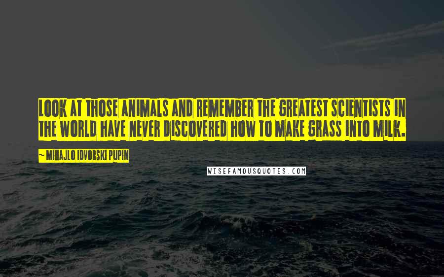 Mihajlo Idvorski Pupin Quotes: Look at those animals and remember the greatest scientists in the world have never discovered how to make grass into milk.