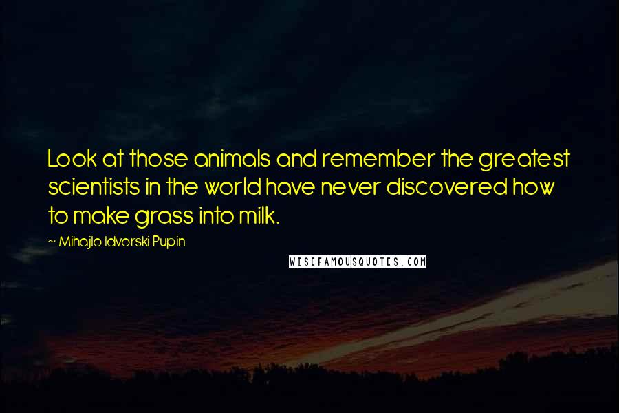 Mihajlo Idvorski Pupin Quotes: Look at those animals and remember the greatest scientists in the world have never discovered how to make grass into milk.