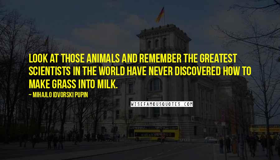 Mihajlo Idvorski Pupin Quotes: Look at those animals and remember the greatest scientists in the world have never discovered how to make grass into milk.