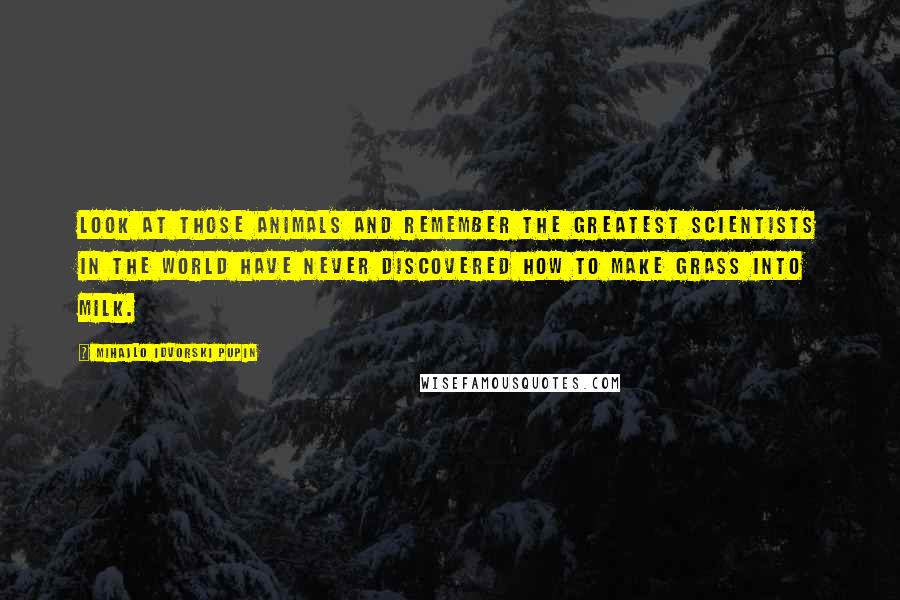 Mihajlo Idvorski Pupin Quotes: Look at those animals and remember the greatest scientists in the world have never discovered how to make grass into milk.