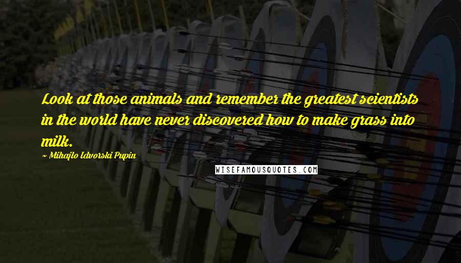 Mihajlo Idvorski Pupin Quotes: Look at those animals and remember the greatest scientists in the world have never discovered how to make grass into milk.