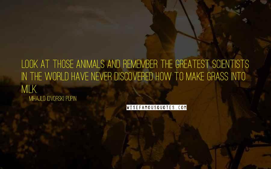 Mihajlo Idvorski Pupin Quotes: Look at those animals and remember the greatest scientists in the world have never discovered how to make grass into milk.