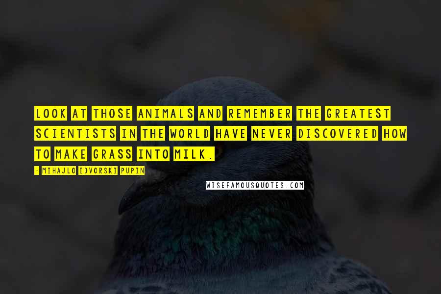 Mihajlo Idvorski Pupin Quotes: Look at those animals and remember the greatest scientists in the world have never discovered how to make grass into milk.