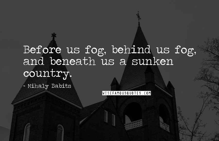 Mihaly Babits Quotes: Before us fog, behind us fog, and beneath us a sunken country.