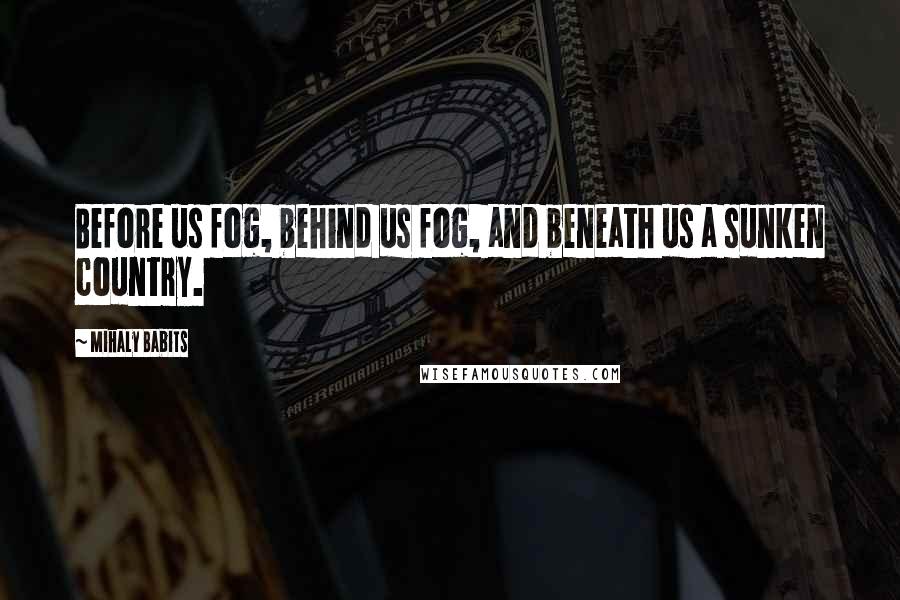 Mihaly Babits Quotes: Before us fog, behind us fog, and beneath us a sunken country.