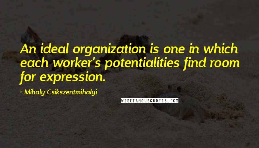 Mihaly Csikszentmihalyi Quotes: An ideal organization is one in which each worker's potentialities find room for expression.