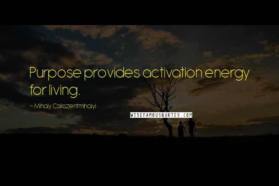 Mihaly Csikszentmihalyi Quotes: Purpose provides activation energy for living.