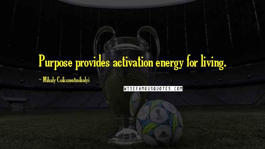 Mihaly Csikszentmihalyi Quotes: Purpose provides activation energy for living.