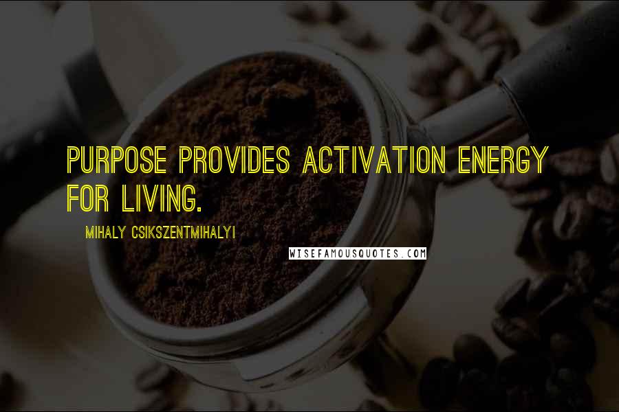 Mihaly Csikszentmihalyi Quotes: Purpose provides activation energy for living.
