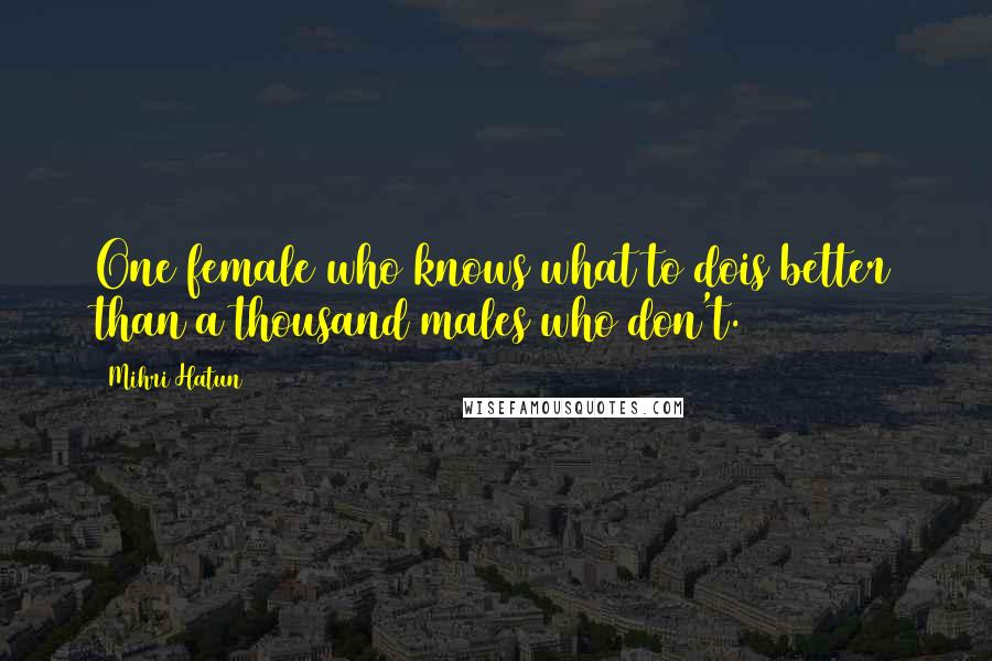 Mihri Hatun Quotes: One female who knows what to dois better than a thousand males who don't.