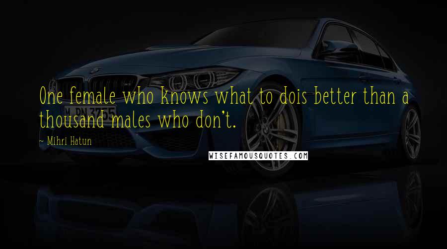 Mihri Hatun Quotes: One female who knows what to dois better than a thousand males who don't.