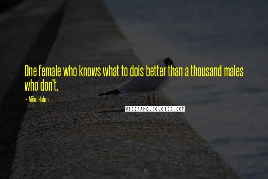 Mihri Hatun Quotes: One female who knows what to dois better than a thousand males who don't.