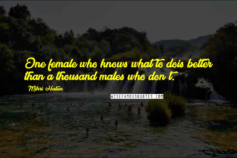 Mihri Hatun Quotes: One female who knows what to dois better than a thousand males who don't.