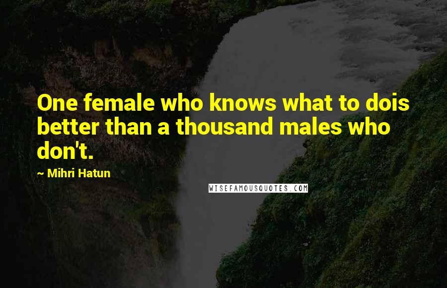 Mihri Hatun Quotes: One female who knows what to dois better than a thousand males who don't.