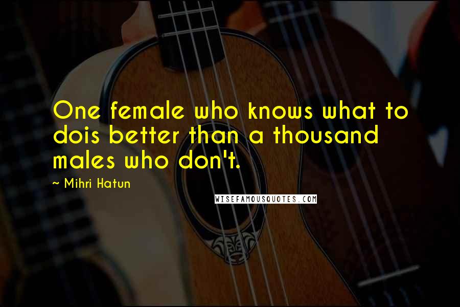 Mihri Hatun Quotes: One female who knows what to dois better than a thousand males who don't.