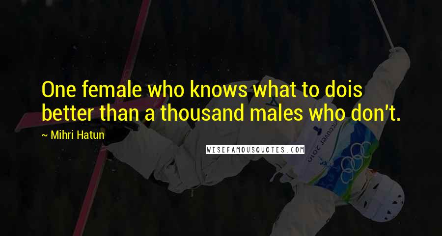 Mihri Hatun Quotes: One female who knows what to dois better than a thousand males who don't.