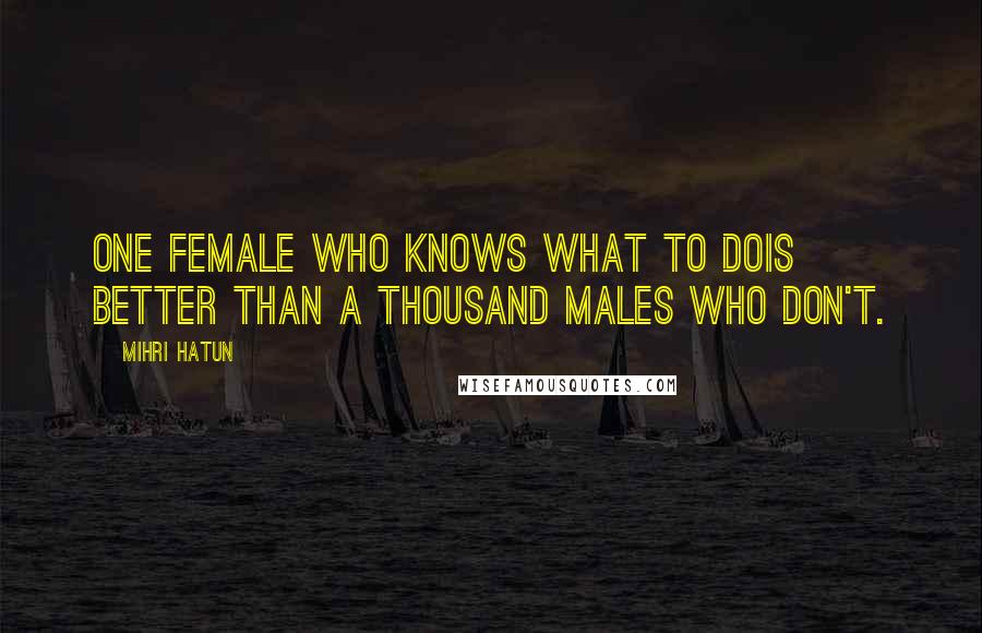Mihri Hatun Quotes: One female who knows what to dois better than a thousand males who don't.