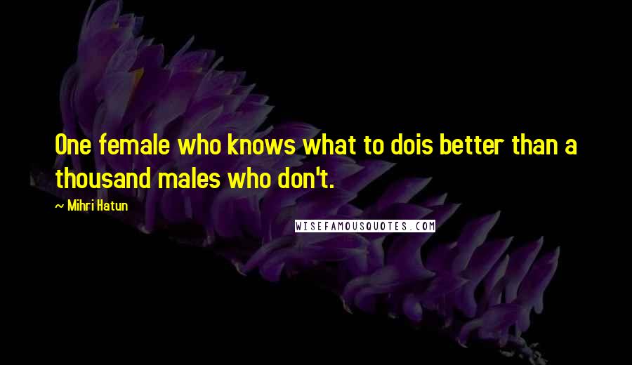 Mihri Hatun Quotes: One female who knows what to dois better than a thousand males who don't.