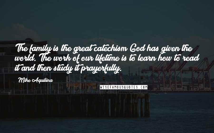 Mike Aquilina Quotes: The family is the great catechism God has given the world. The work of our lifetime is to learn how to read it and then study it prayerfully.