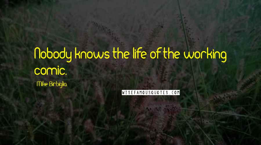 Mike Birbiglia Quotes: Nobody knows the life of the working comic.