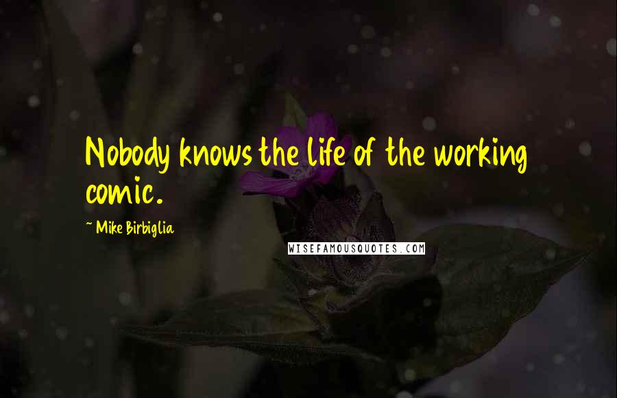 Mike Birbiglia Quotes: Nobody knows the life of the working comic.