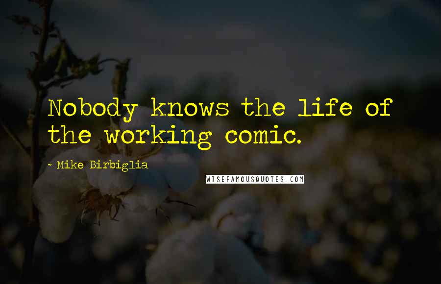 Mike Birbiglia Quotes: Nobody knows the life of the working comic.