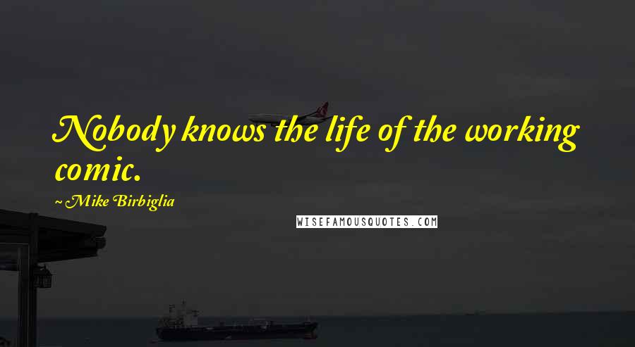 Mike Birbiglia Quotes: Nobody knows the life of the working comic.
