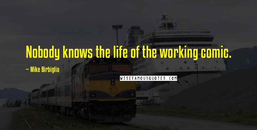 Mike Birbiglia Quotes: Nobody knows the life of the working comic.