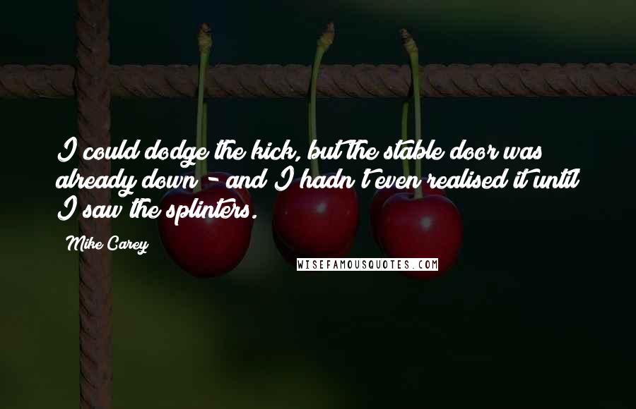 Mike Carey Quotes: I could dodge the kick, but the stable door was already down - and I hadn't even realised it until I saw the splinters.