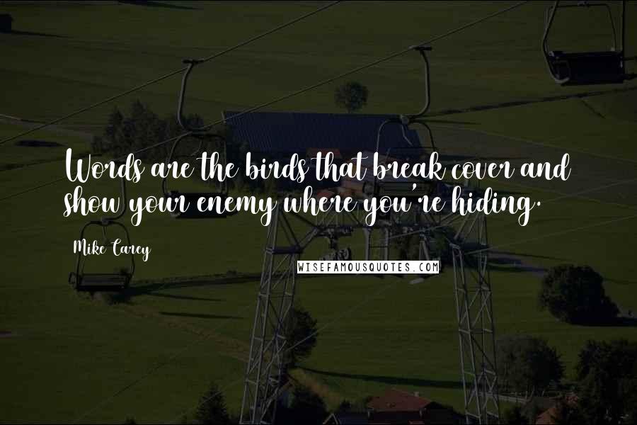 Mike Carey Quotes: Words are the birds that break cover and show your enemy where you're hiding.