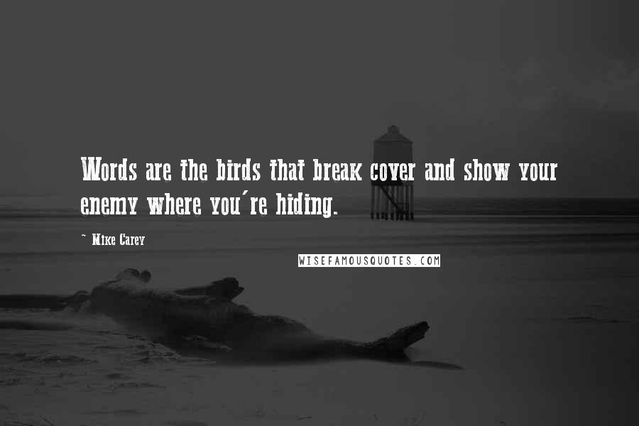 Mike Carey Quotes: Words are the birds that break cover and show your enemy where you're hiding.