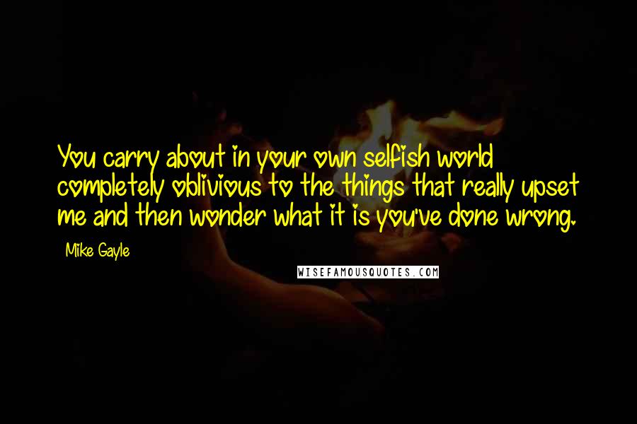 Mike Gayle Quotes: You carry about in your own selfish world completely oblivious to the things that really upset me and then wonder what it is you've done wrong.