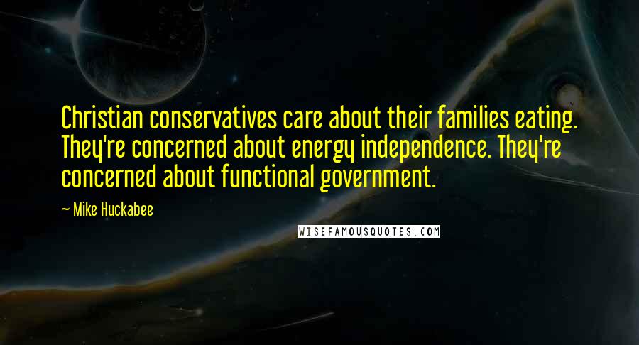 Mike Huckabee Quotes: Christian conservatives care about their families eating. They're concerned about energy independence. They're concerned about functional government.