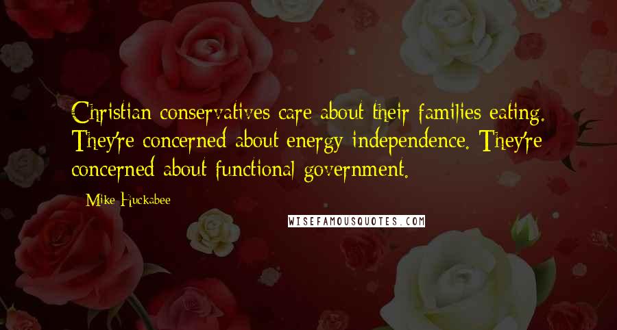 Mike Huckabee Quotes: Christian conservatives care about their families eating. They're concerned about energy independence. They're concerned about functional government.