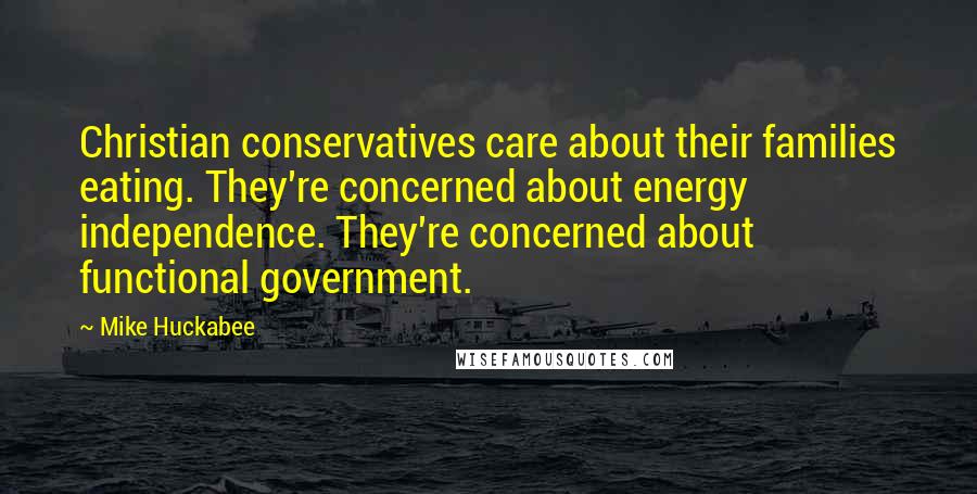 Mike Huckabee Quotes: Christian conservatives care about their families eating. They're concerned about energy independence. They're concerned about functional government.