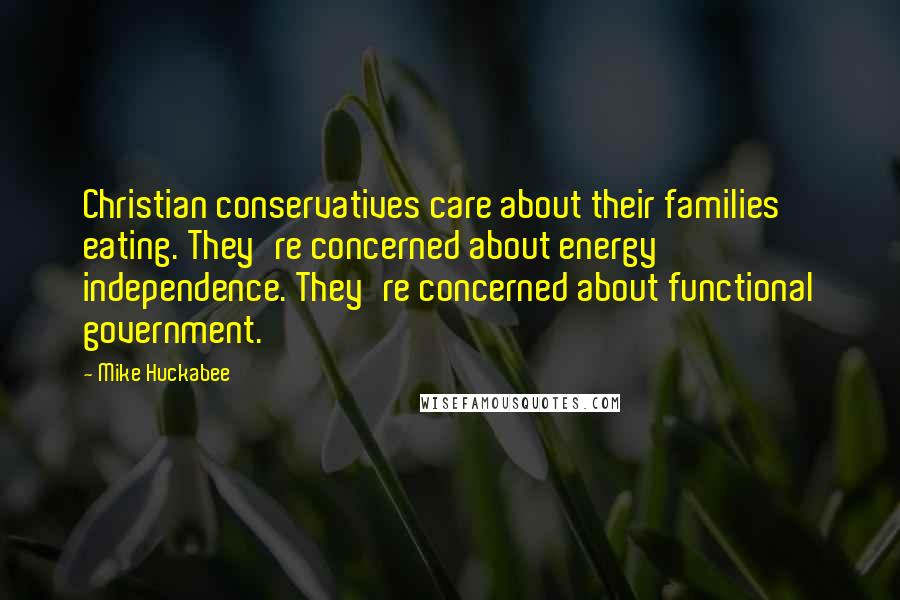 Mike Huckabee Quotes: Christian conservatives care about their families eating. They're concerned about energy independence. They're concerned about functional government.