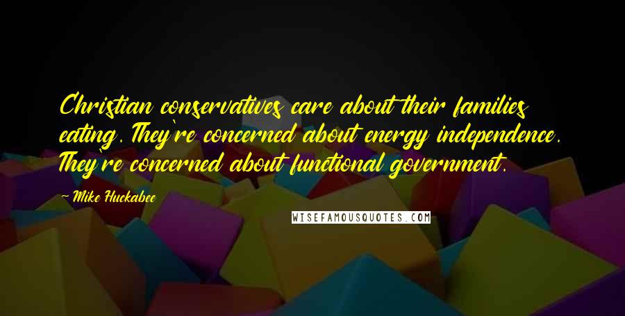 Mike Huckabee Quotes: Christian conservatives care about their families eating. They're concerned about energy independence. They're concerned about functional government.