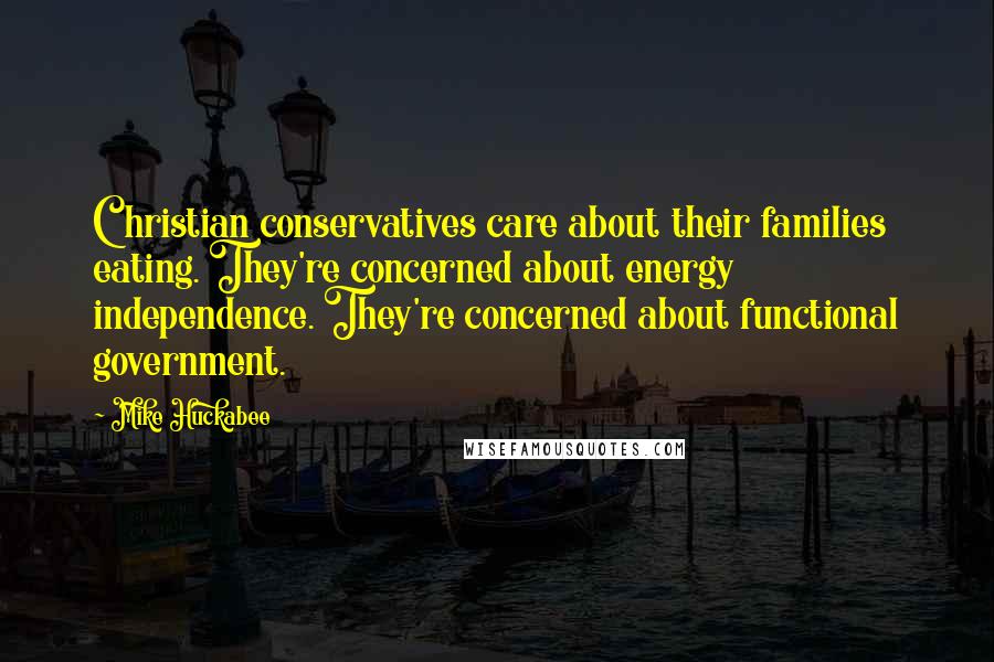Mike Huckabee Quotes: Christian conservatives care about their families eating. They're concerned about energy independence. They're concerned about functional government.