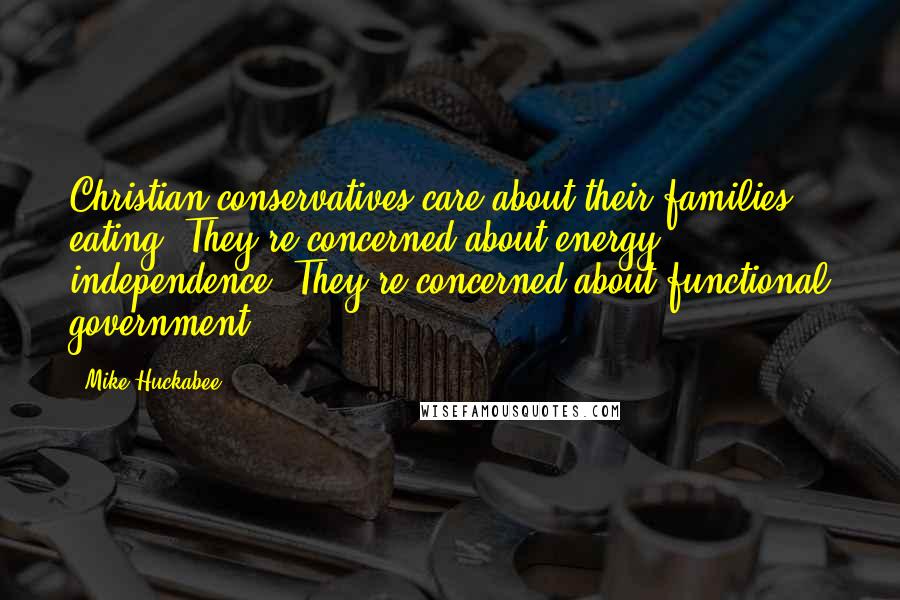 Mike Huckabee Quotes: Christian conservatives care about their families eating. They're concerned about energy independence. They're concerned about functional government.