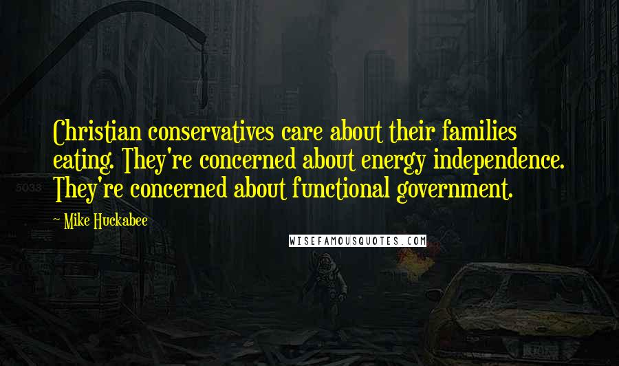 Mike Huckabee Quotes: Christian conservatives care about their families eating. They're concerned about energy independence. They're concerned about functional government.