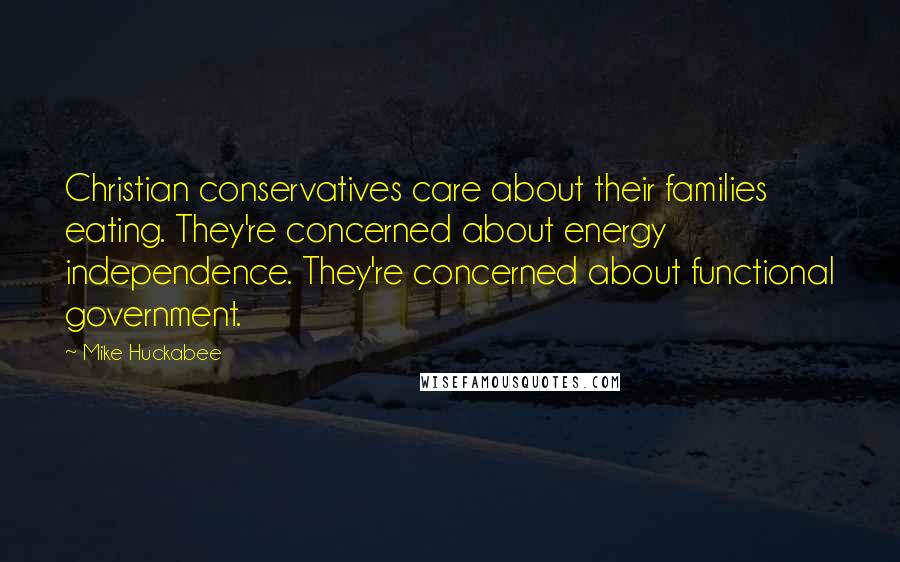 Mike Huckabee Quotes: Christian conservatives care about their families eating. They're concerned about energy independence. They're concerned about functional government.