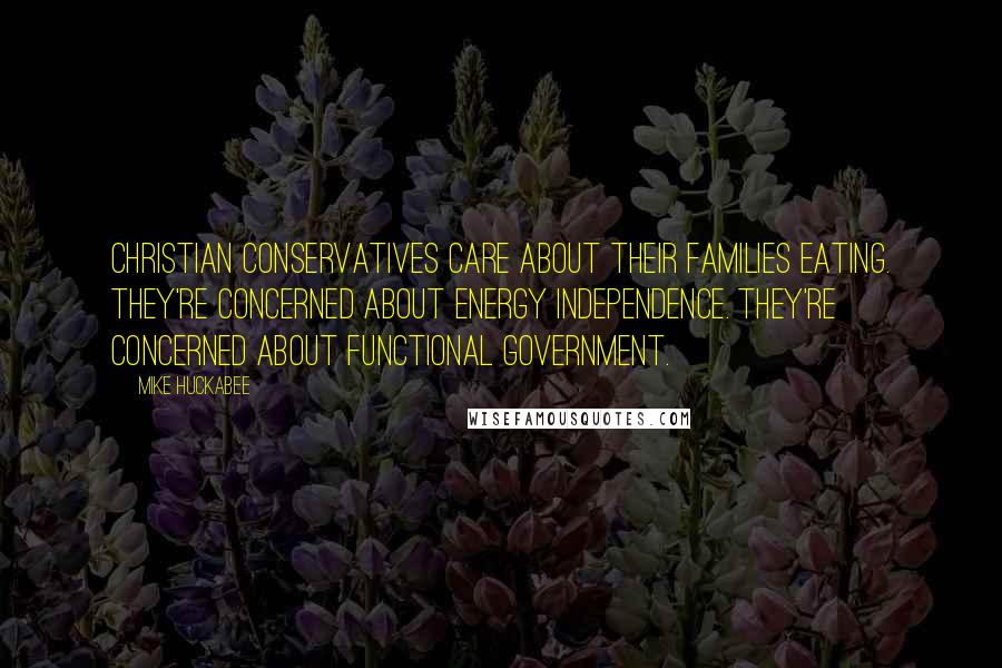 Mike Huckabee Quotes: Christian conservatives care about their families eating. They're concerned about energy independence. They're concerned about functional government.